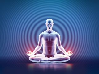 Yoga & Meditation